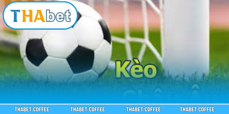 Người chơi phân tích tỷ lệ trước khi đưa ra quyết định