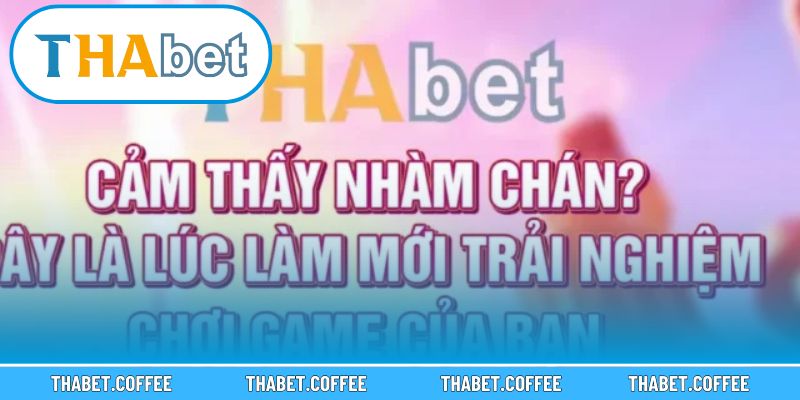 Bộ sưu tập trò chơi hot tại Thabet