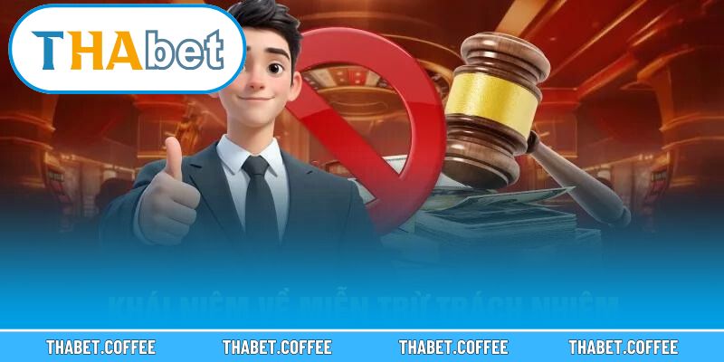 Các điều khoản trong chính sách bảo mật và quy định trách nhiệm