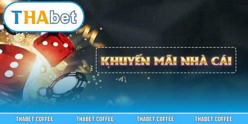 Các lưu ý quan trọng giúp người chơi trải nghiệm an toàn và hiệu quả