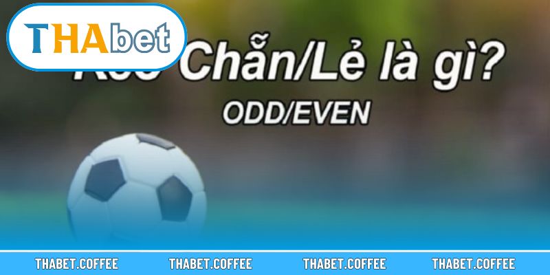 Các lưu ý quan trọng trước khi đặt kèo