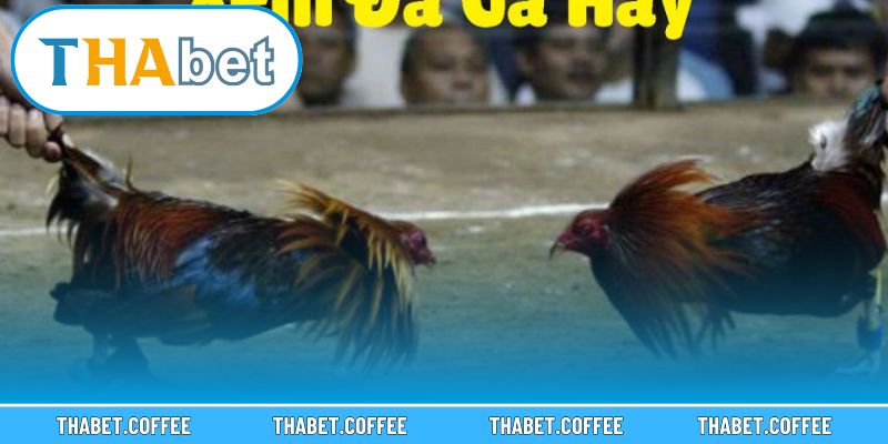 Chi tiết giúp người chơi tối ưu trải nghiệm