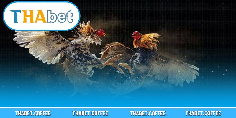 Giao diện hiện đại hỗ trợ người chơi theo dõi và đặt cược dễ dàng.