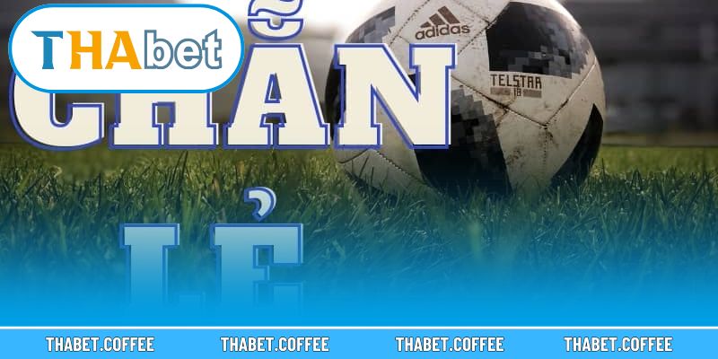 Giao diện hướng dẫn cách đặt kèo trực tuyến