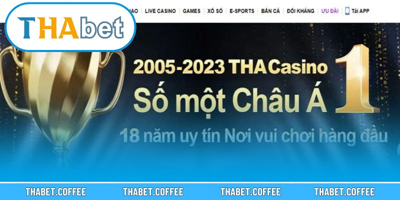 Hướng dẫn cần thiết để đảm bảo trải nghiệm an toàn và hiệu quả