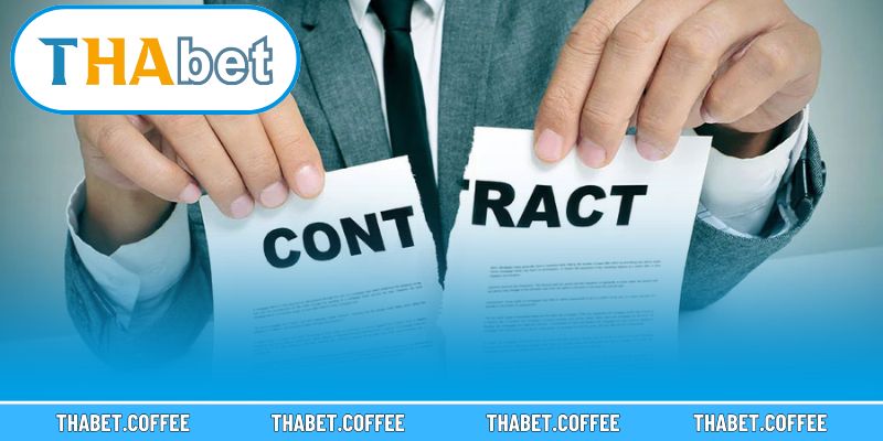 Khách hàng tuân thủ trách nhiệm khi chơi cá cược