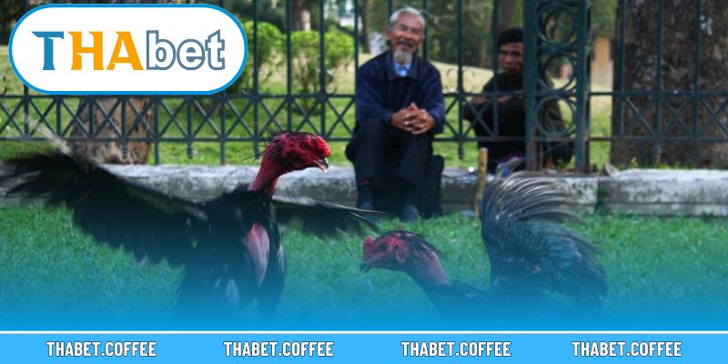 Không khí căng thẳng trước mỗi trận đấu mang lại cảm xúc đặc biệt