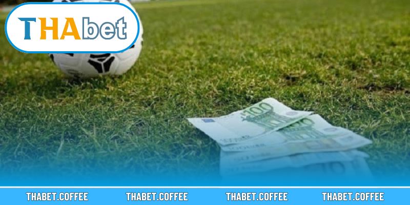 Lưu ý cần thiết trong quá trình đặt cược