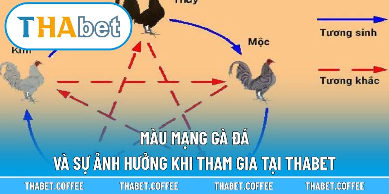 Màu mạng gà đá