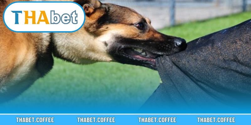 Người chơi cần nắm rõ nguyên tắc để áp dụng hiệu quả