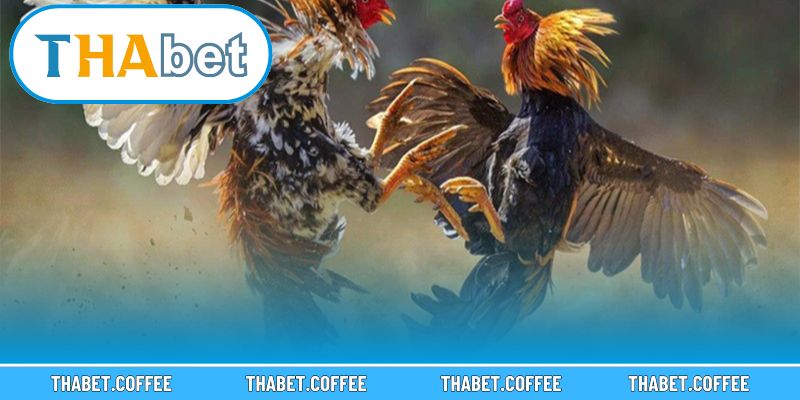 Những điểm mạnh giúp nâng tầm trải nghiệm cho người chơi