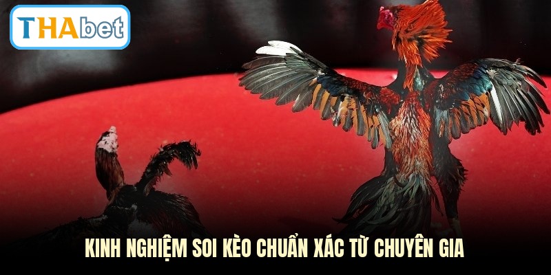 Kinh nghiệm soi kèo chuẩn xác từ chuyên gia